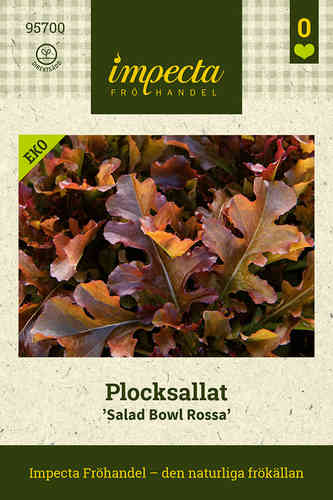 EKO Plocksallat 'Salad Bowl Rossa'