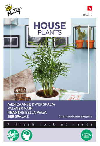 House Plants Bergpalm