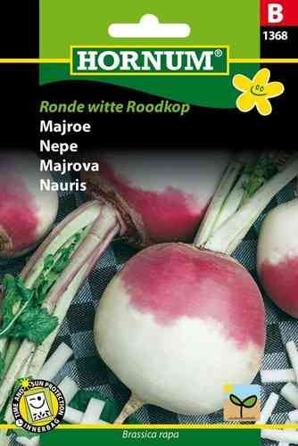 Majrova 'Ronde Witte Roodkop'