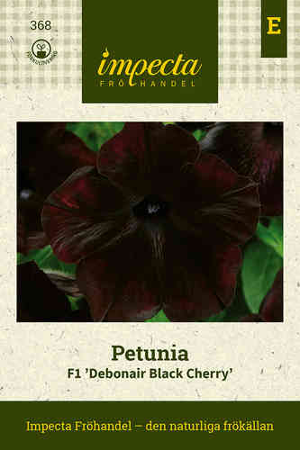 Petunia F1 'Debonair Black Cherry'