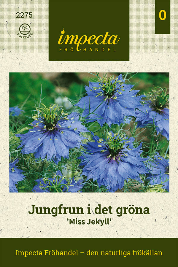 Jungfrun i det gröna 'Miss Jekyll'