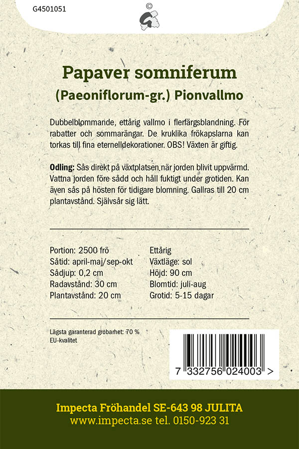 Pionvallmo
