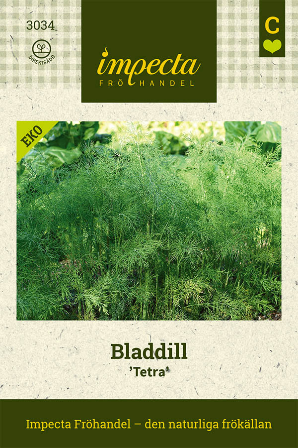 Bladdill 'Tetra'