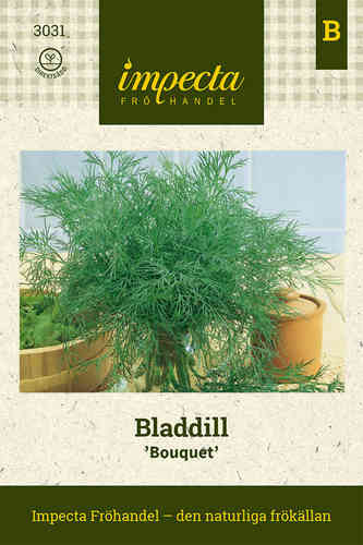 Bladdill 'Bouquet'