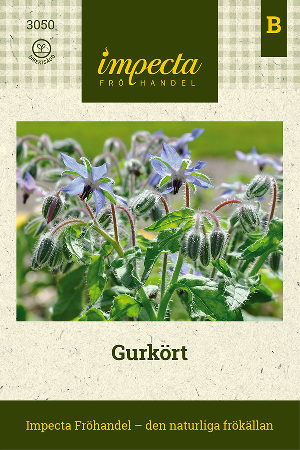 Gurkört