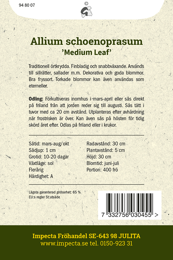 Gräslök 'Medium Leaf'