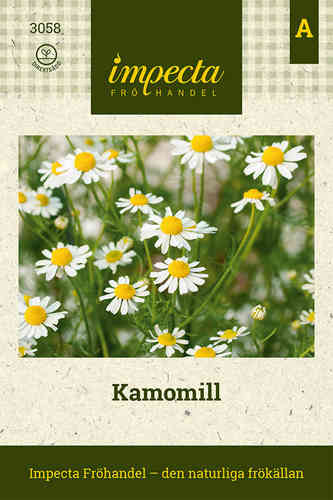 Kamomill