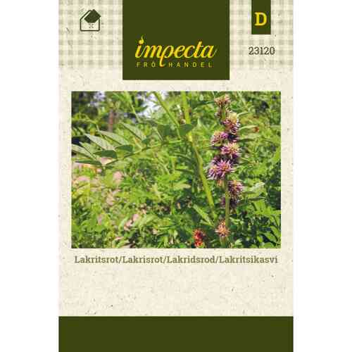 Lakritsijuuri Lakritsijuuri