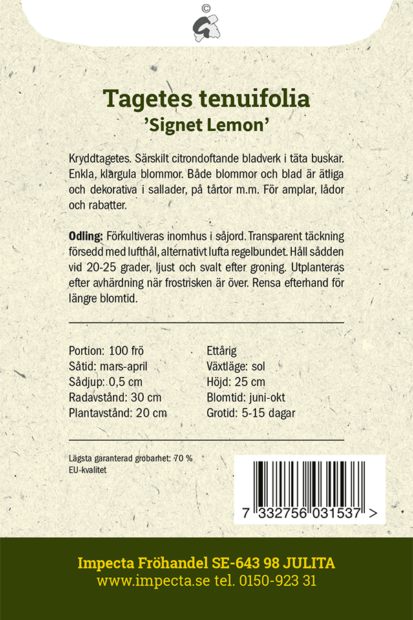 Liten Tagetes 'Signet Lemon'