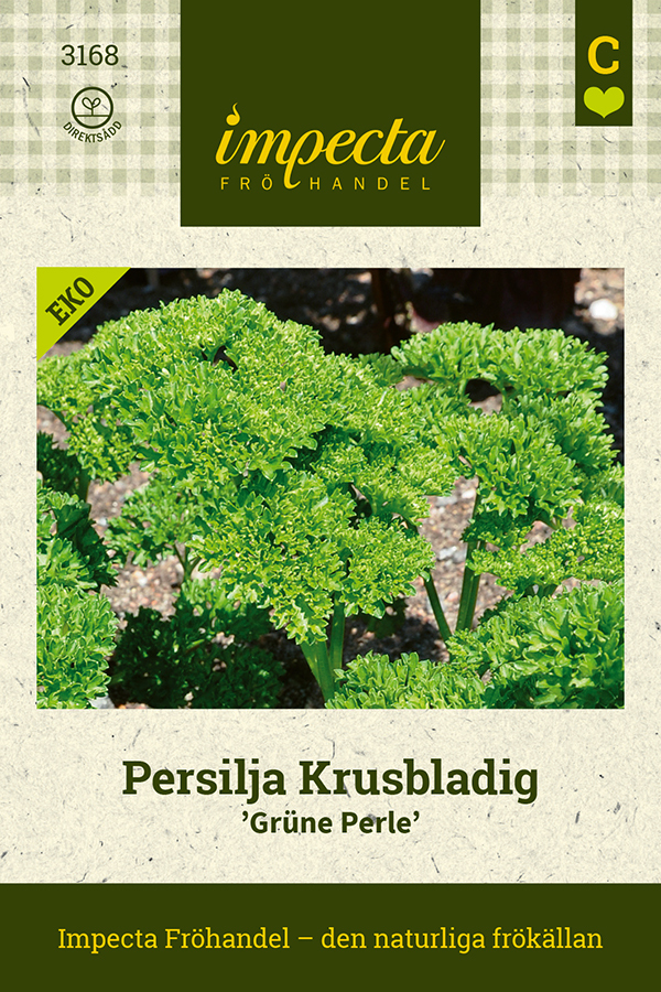 Persilja 'Grüne Perle'