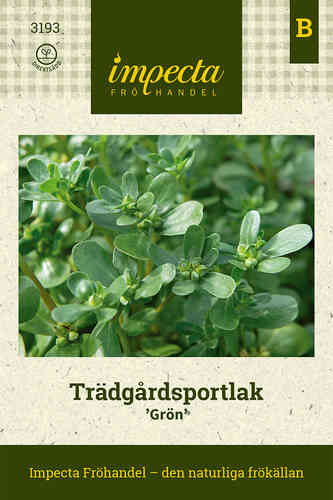 Tarhaportulakka 'Grön'