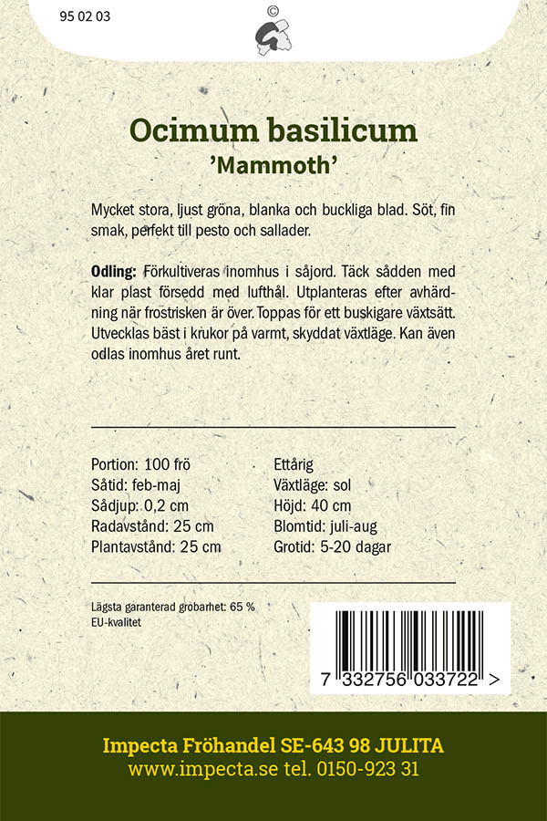 Sallatsbladig basilika 'Mammoth'
