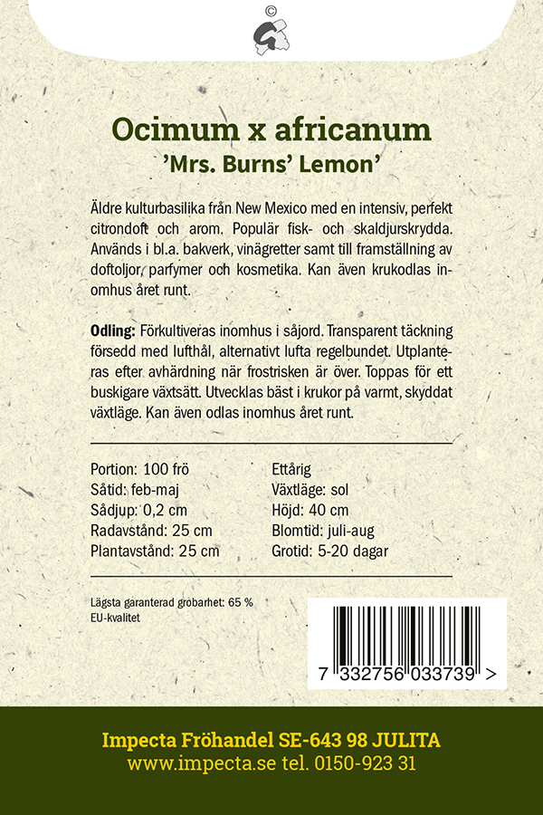 Sitruunabasilika 'Mrs. Burns´ Lemon'