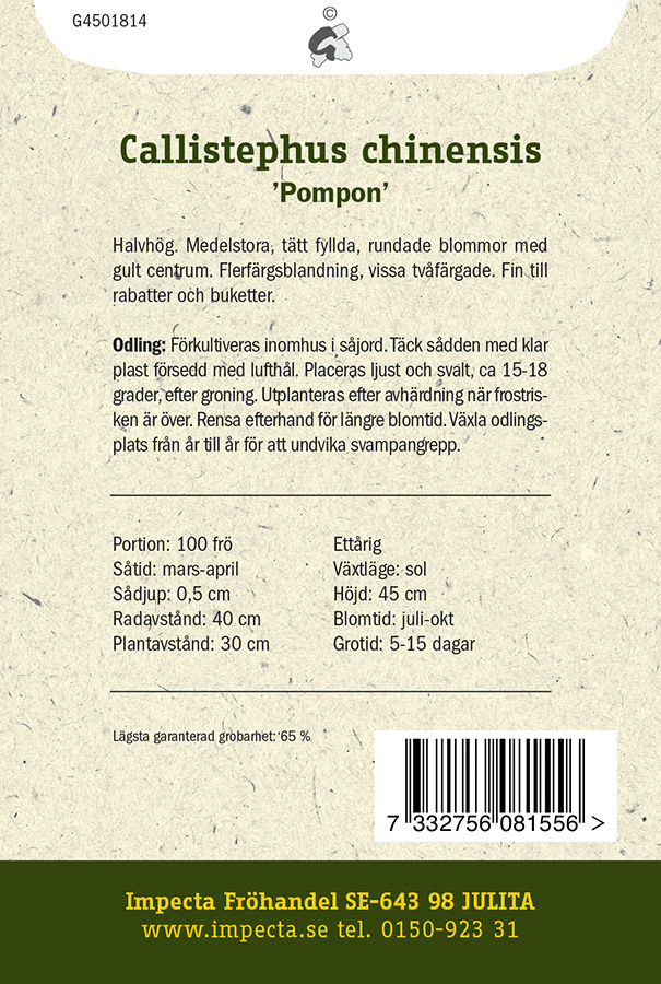 Kiinanasteri 'Pompon'