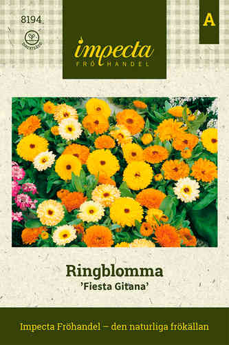 Ringblomma 'Fiesta Gitana'