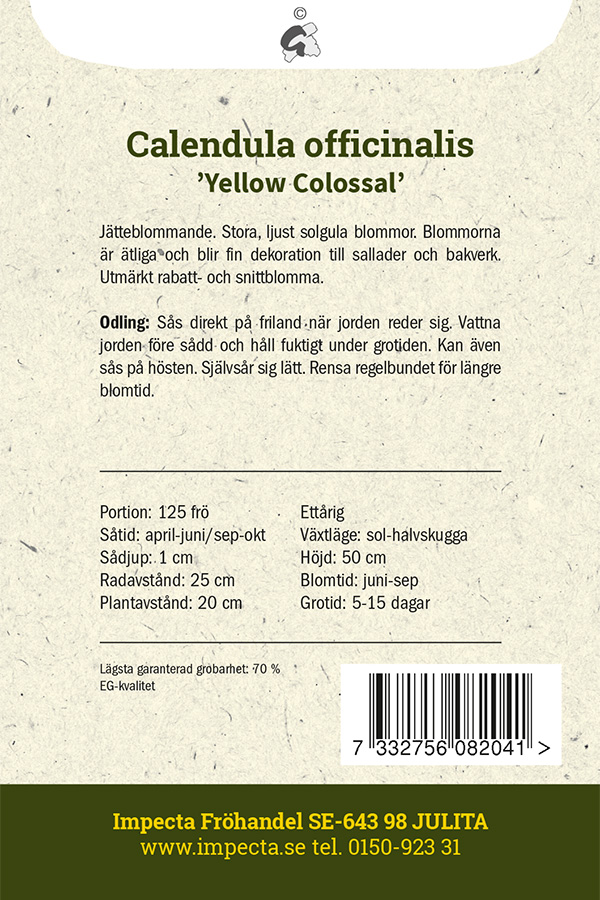 Ringblomma 'Yellow Colossal'