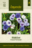 Ruiskaunokki 'Classic Fantastic'