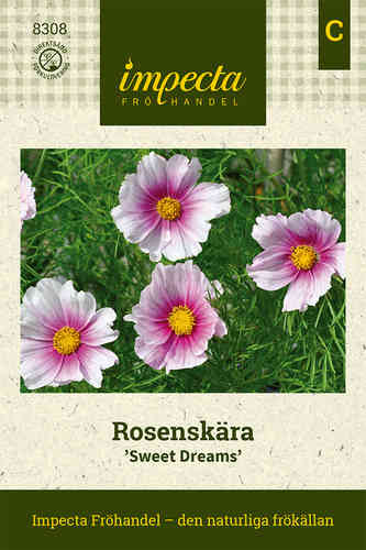 Punakosmos 'Sweet Dreams'