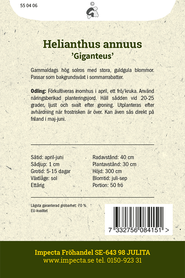 Isoauringonkukka 'Giganteus'