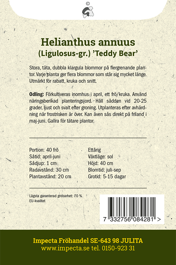Fylls Solros 'Teddy Bear'