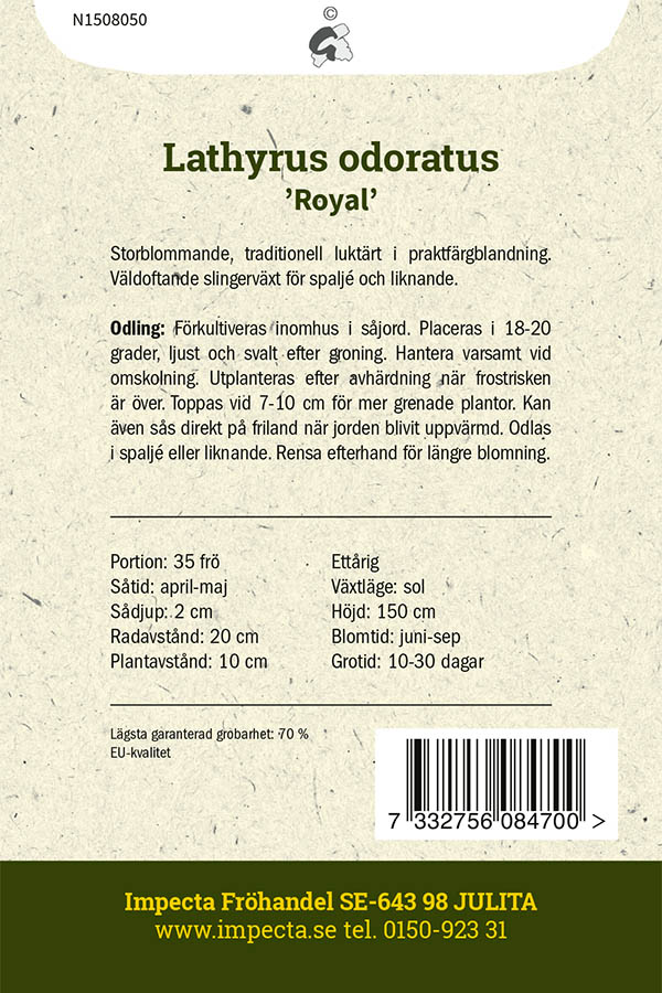 Tuoksuherne 'Royal' 