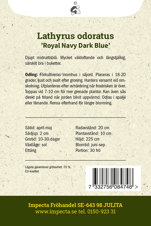 Tuoksuherne 'Royal Navy Dark Blue' 