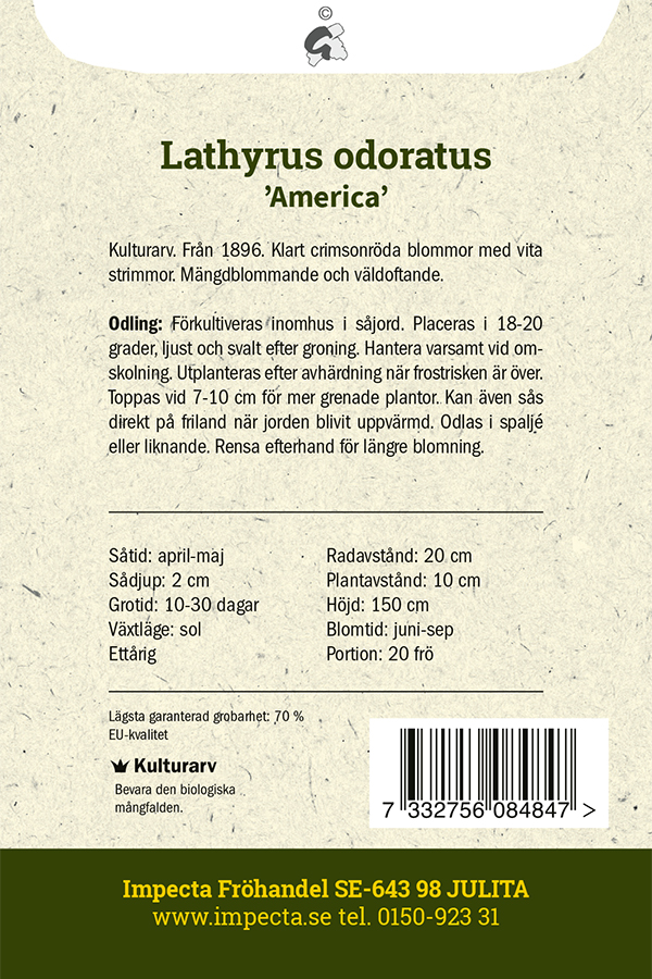 Tuoksuherne 'America' 