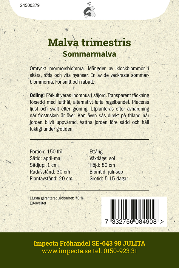 Sommarmalva