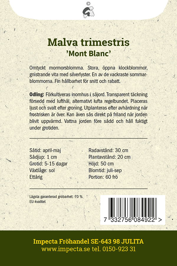 Kesämalvikki 'Mont Blanc'