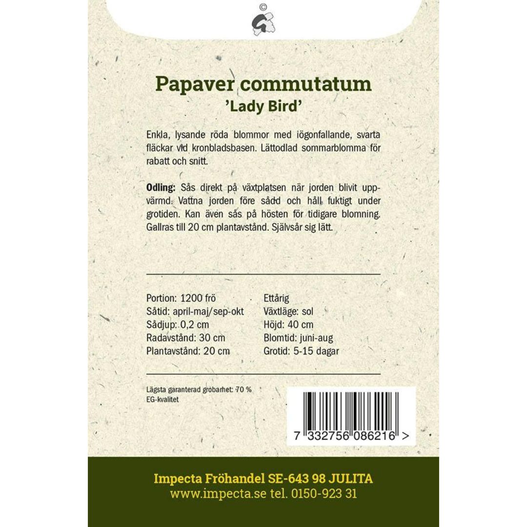 Fläckvallmo 'Lady Bird'