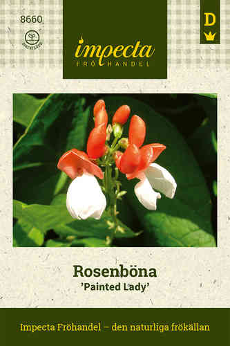 Rosenböna 'Painted Lady'