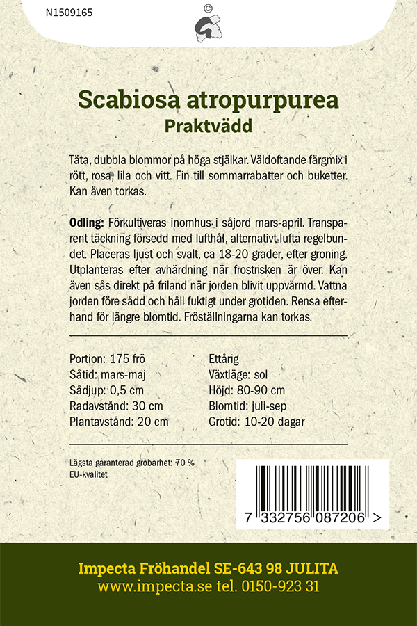 Praktvädd