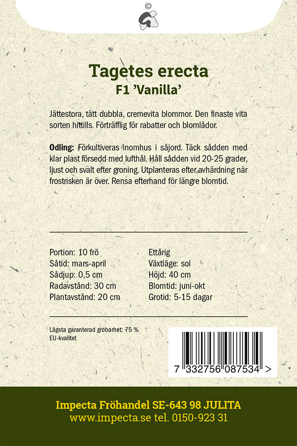 Isosamettikukka F1 'Vanilla'