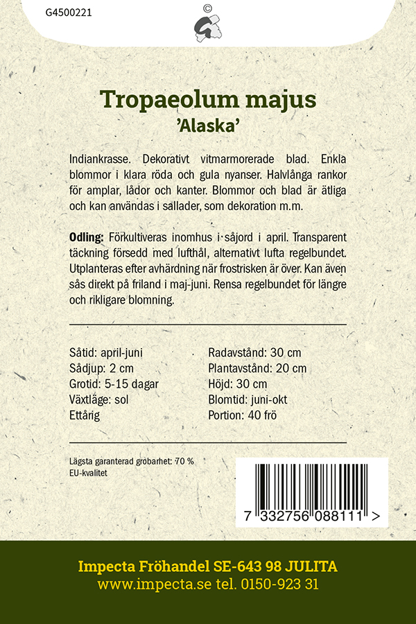 Pensaskrassi 'Alaska'