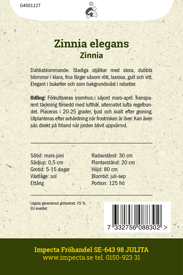 Zinnia