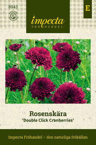 Rosenskära 'Double Click Cranberries'