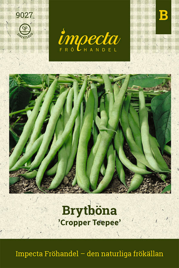 Brytböna 'Cropper Teepee'