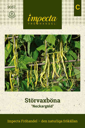 Störvaxböna 'Neckargold'