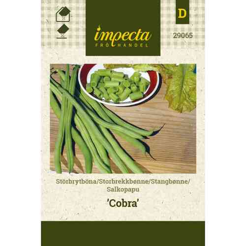 Salkopapu 'Cobra'