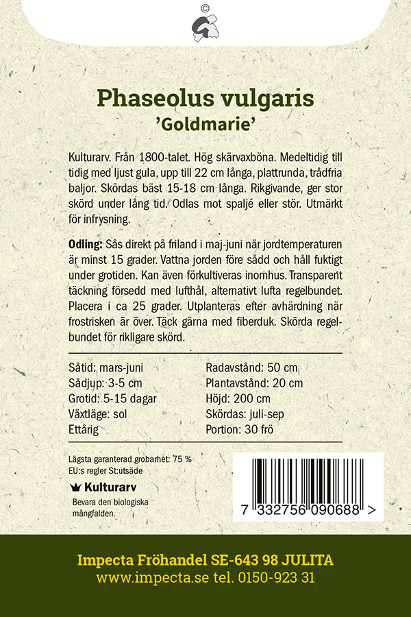 Störskärvaxböna 'Goldmarie'