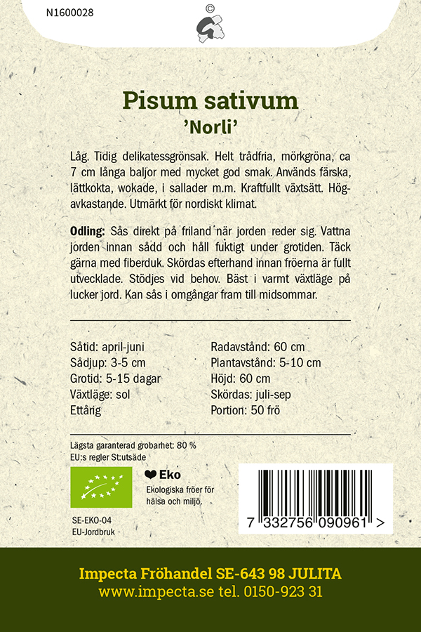 LUOMU Sokeriherne 'Norli'
