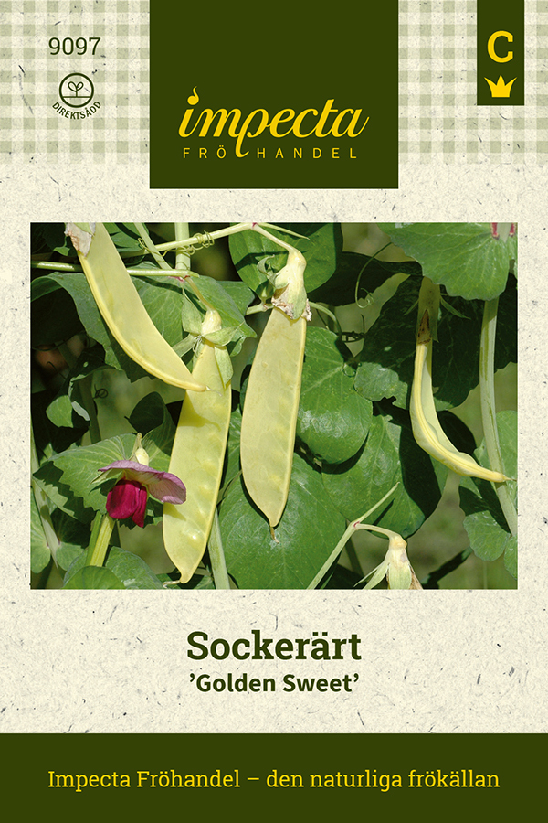 Sokeriherne 'Golden Sweet'