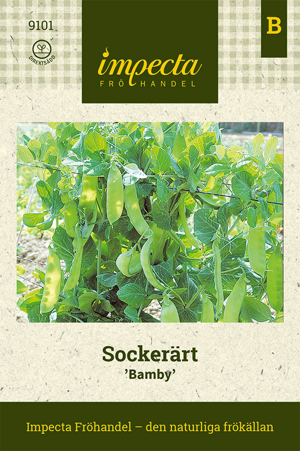 Sockerärt 'Bamby'
