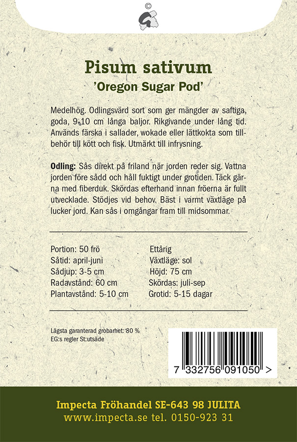 Sokeriherne 'Oregon Sugar Pod'