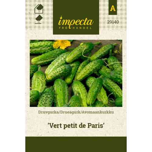 Avomaankurkku 'Vert Petit De Paris'