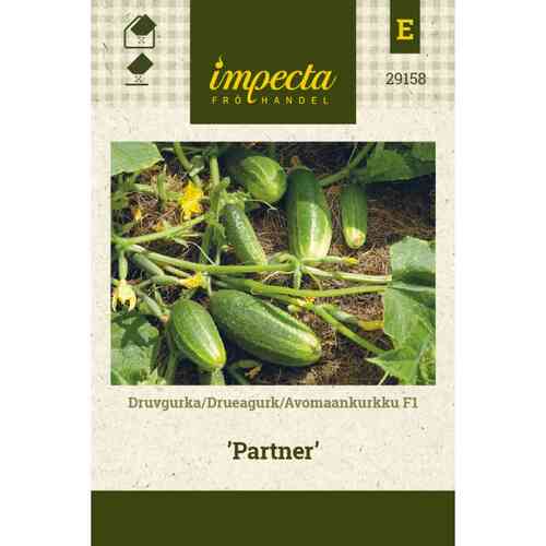 Avomaankurkku F1 'Partner'