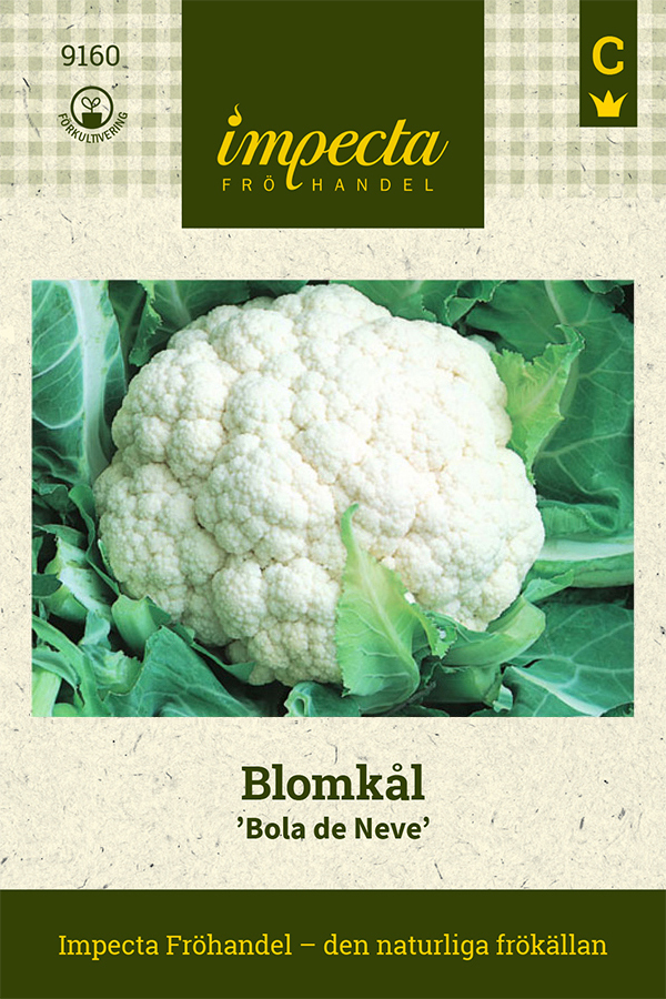 Blomkål 'Bola de Neve'