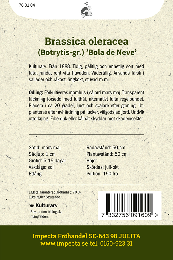 Blomkål 'Bola de Neve'