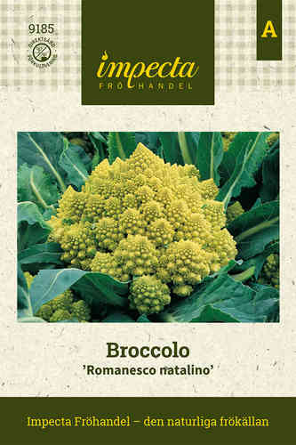 Parsakukkakaali 'Romanesco Natalino'