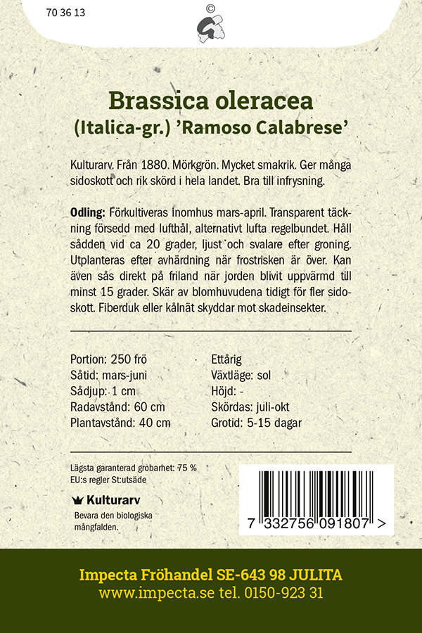 Parsakaali 'Ramoso Calabrese'